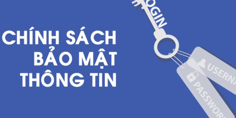 Nếu bạn vi phạm sẽ bị xử lý theo đúng quy định của nhà cái 