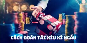 top 10 cao thủ đánh poker avt