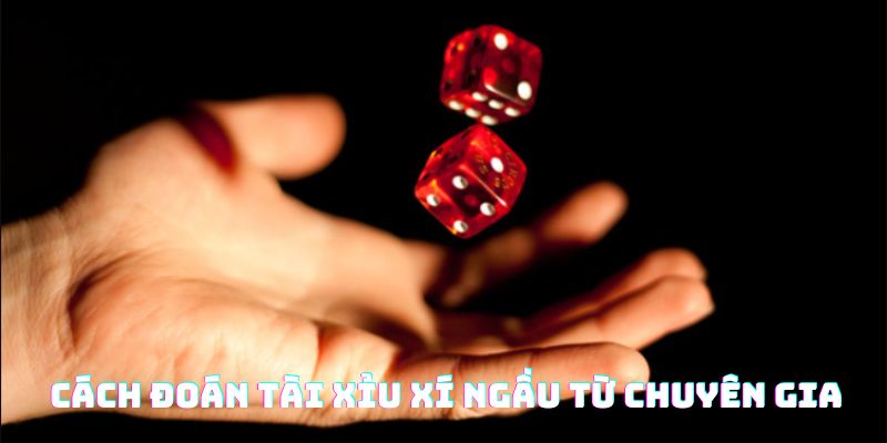 Một vài cách đoán tài xỉu xí ngầu cực chuẩn chỉ từ chuyên gia